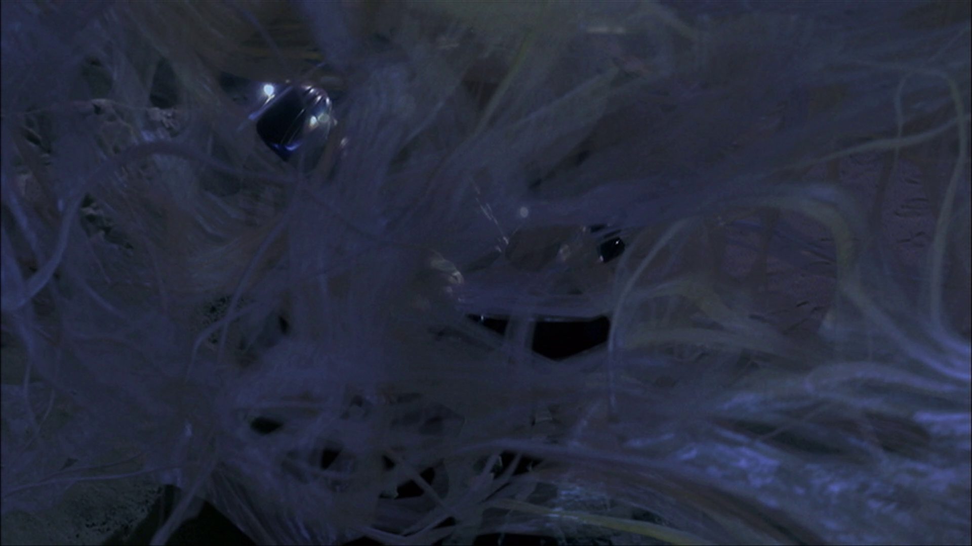 extant_StarTrek_ENT_1x22-VoxSola_3540.jpg