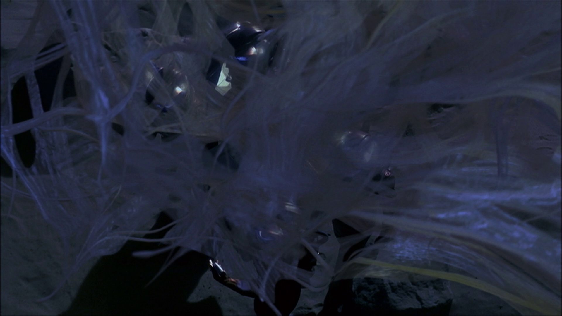 extant_StarTrek_ENT_1x22-VoxSola_3542.jpg
