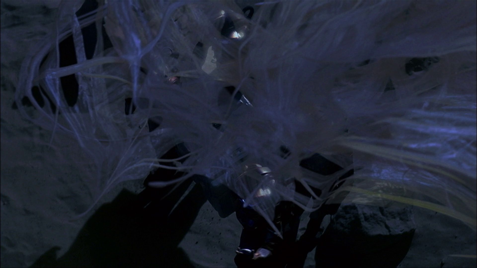 extant_StarTrek_ENT_1x22-VoxSola_3543.jpg