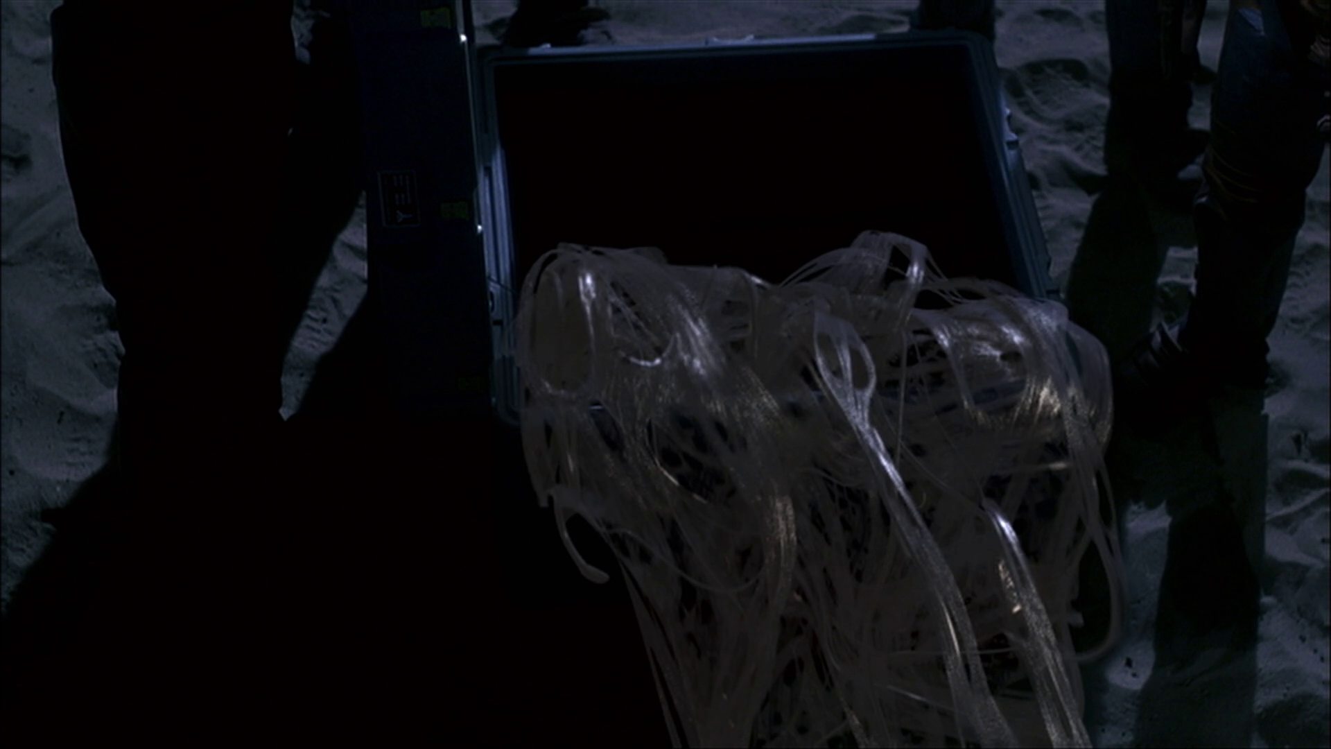 extant_StarTrek_ENT_1x22-VoxSola_3599.jpg