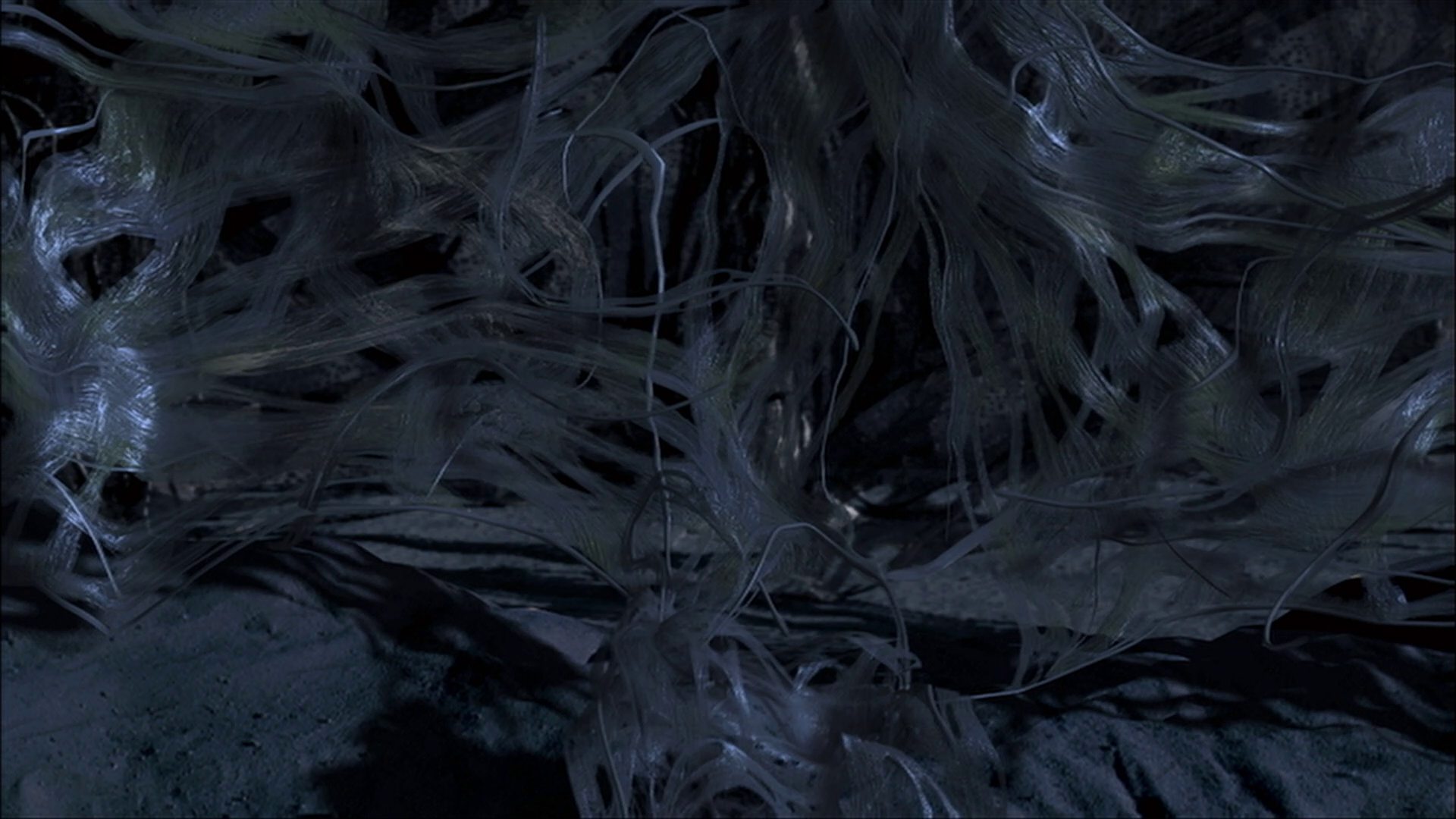 extant_StarTrek_ENT_1x22-VoxSola_3605.jpg