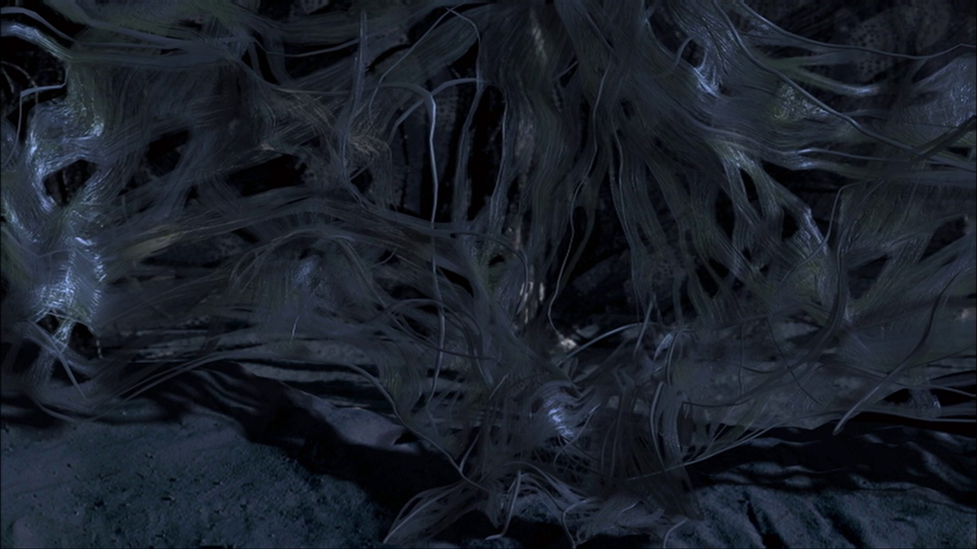 extant_StarTrek_ENT_1x22-VoxSola_3607.jpg