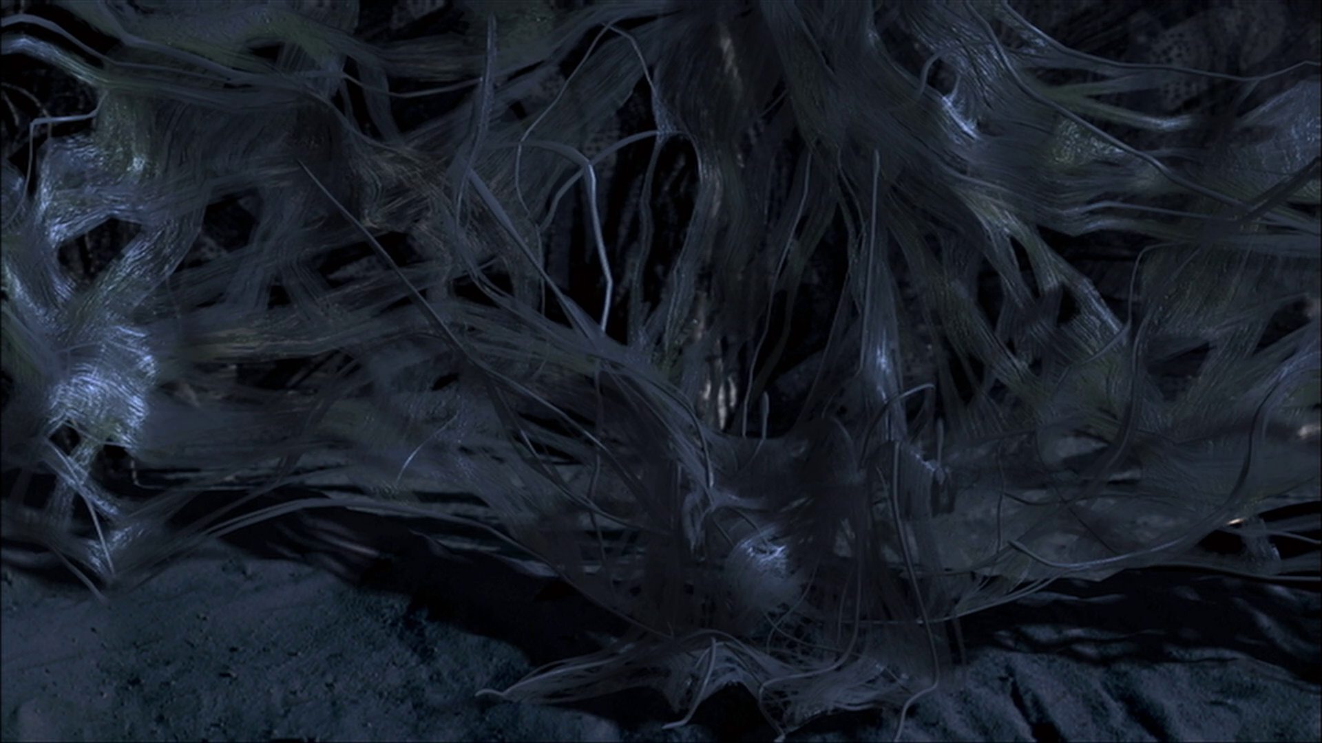 extant_StarTrek_ENT_1x22-VoxSola_3608.jpg