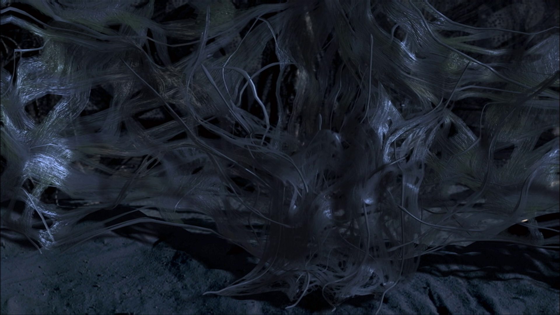 extant_StarTrek_ENT_1x22-VoxSola_3609.jpg