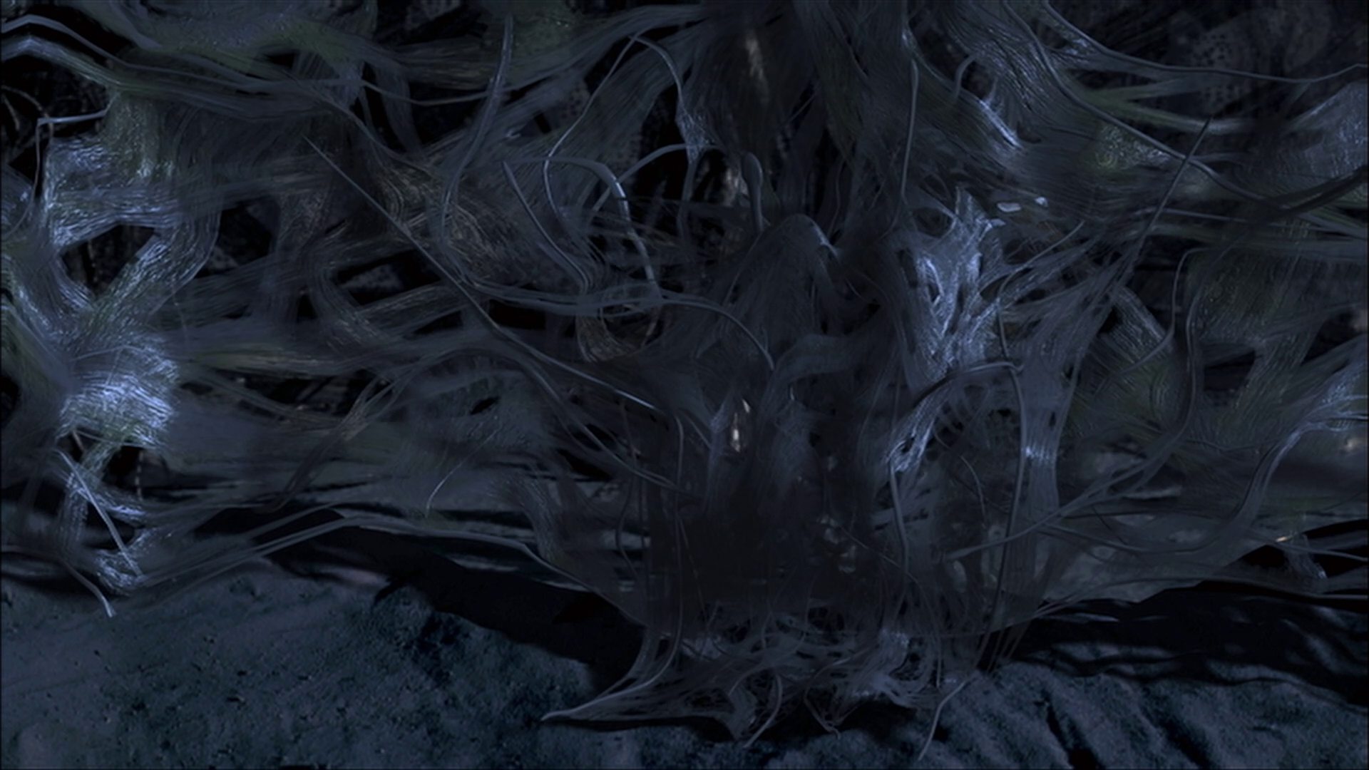 extant_StarTrek_ENT_1x22-VoxSola_3610.jpg