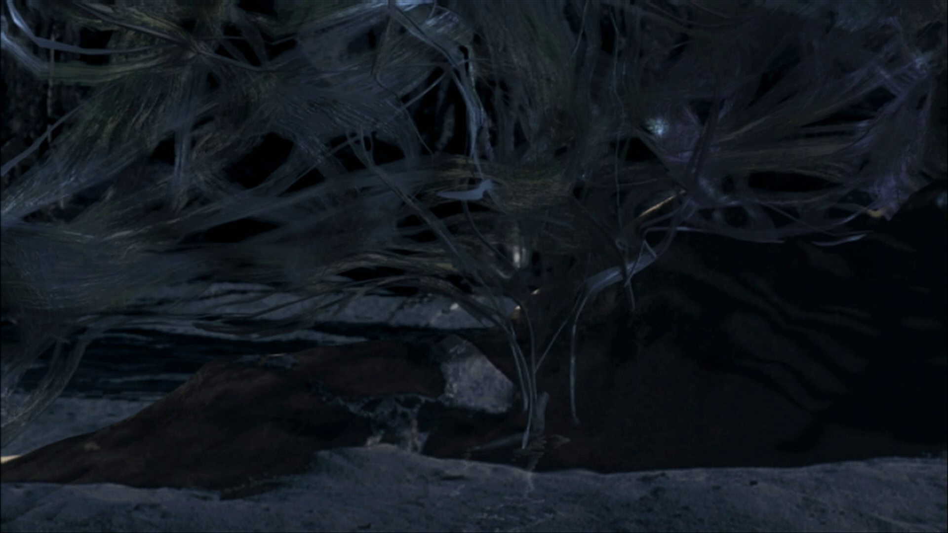 extant_StarTrek_ENT_1x22-VoxSola_3656.jpg
