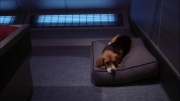Filename=extant_StarTrek_ENT_1x22-VoxSola_0534.jpg
Filesize=207KiB
Dimensions=1920x1080
Date added=May 30, 2020 extant_StarTrek_ENT_1x22-VoxSola_0534.jpg