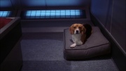 Filename=extant_StarTrek_ENT_1x22-VoxSola_0537.jpg
Filesize=208KiB
Dimensions=1920x1080
Date added=May 30, 2020 extant_StarTrek_ENT_1x22-VoxSola_0537.jpg