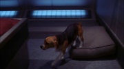 Filename=extant_StarTrek_ENT_1x22-VoxSola_0538.jpg
Filesize=144KiB
Dimensions=1920x1080
Date added=May 30, 2020 extant_StarTrek_ENT_1x22-VoxSola_0538.jpg