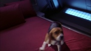 Filename=extant_StarTrek_ENT_1x22-VoxSola_0540.jpg
Filesize=143KiB
Dimensions=1920x1080
Date added=May 30, 2020 extant_StarTrek_ENT_1x22-VoxSola_0540.jpg