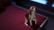 Filename=extant_StarTrek_ENT_1x22-VoxSola_0541.jpg
Filesize=137KiB
Dimensions=1920x1080
Date added=May 30, 2020 extant_StarTrek_ENT_1x22-VoxSola_0541.jpg