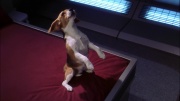 Filename=extant_StarTrek_ENT_1x22-VoxSola_0542.jpg
Filesize=168KiB
Dimensions=1920x1080
Date added=May 30, 2020 extant_StarTrek_ENT_1x22-VoxSola_0542.jpg
