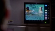 extant_StarTrek_ENT_1x22-VoxSola_0816.jpg