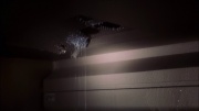 extant_StarTrek_ENT_1x22-VoxSola_0887.jpg