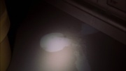 Filename=extant_StarTrek_ENT_1x22-VoxSola_0897.jpg
Filesize=121KiB
Dimensions=1920x1080
Date added=May 30, 2020 extant_StarTrek_ENT_1x22-VoxSola_0897.jpg