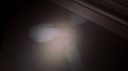 Filename=extant_StarTrek_ENT_1x22-VoxSola_0899.jpg
Filesize=125KiB
Dimensions=1920x1080
Date added=May 30, 2020 extant_StarTrek_ENT_1x22-VoxSola_0899.jpg