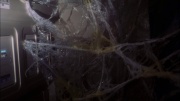 Filename=extant_StarTrek_ENT_1x22-VoxSola_0917.jpg
Filesize=162KiB
Dimensions=1920x1080
Date added=May 30, 2020 extant_StarTrek_ENT_1x22-VoxSola_0917.jpg