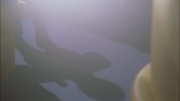 extant_StarTrek_ENT_1x22-VoxSola_1154.jpg