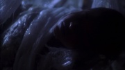 Filename=extant_StarTrek_ENT_1x22-VoxSola_1212.jpg
Filesize=119KiB
Dimensions=1920x1080
Date added=May 30, 2020 extant_StarTrek_ENT_1x22-VoxSola_1212.jpg