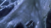 Filename=extant_StarTrek_ENT_1x22-VoxSola_1232.jpg
Filesize=208KiB
Dimensions=1920x1080
Date added=May 30, 2020 extant_StarTrek_ENT_1x22-VoxSola_1232.jpg