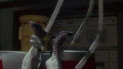 extant_StarTrek_ENT_1x22-VoxSola_1298.jpg