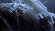 extant_StarTrek_ENT_1x22-VoxSola_1591.jpg