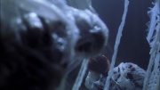 extant_StarTrek_ENT_1x22-VoxSola_1594.jpg