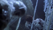 extant_StarTrek_ENT_1x22-VoxSola_1595.jpg