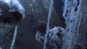 extant_StarTrek_ENT_1x22-VoxSola_1596.jpg