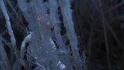 extant_StarTrek_ENT_1x22-VoxSola_1604.jpg