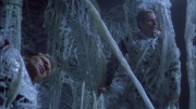 Filename=extant_StarTrek_ENT_1x22-VoxSola_1631.jpg
Filesize=239KiB
Dimensions=1920x1080
Date added=May 30, 2020 extant_StarTrek_ENT_1x22-VoxSola_1631.jpg