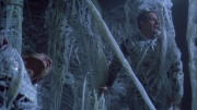Filename=extant_StarTrek_ENT_1x22-VoxSola_1638.jpg
Filesize=238KiB
Dimensions=1920x1080
Date added=May 30, 2020 extant_StarTrek_ENT_1x22-VoxSola_1638.jpg