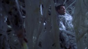 Filename=extant_StarTrek_ENT_1x22-VoxSola_1643.jpg
Filesize=179KiB
Dimensions=1920x1080
Date added=May 30, 2020 extant_StarTrek_ENT_1x22-VoxSola_1643.jpg