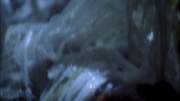 Filename=extant_StarTrek_ENT_1x22-VoxSola_1650.jpg
Filesize=156KiB
Dimensions=1920x1080
Date added=May 30, 2020 extant_StarTrek_ENT_1x22-VoxSola_1650.jpg