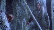 Filename=extant_StarTrek_ENT_1x22-VoxSola_1666.jpg
Filesize=270KiB
Dimensions=1920x1080
Date added=May 30, 2020 extant_StarTrek_ENT_1x22-VoxSola_1666.jpg