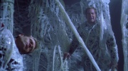 Filename=extant_StarTrek_ENT_1x22-VoxSola_1667.jpg
Filesize=267KiB
Dimensions=1920x1080
Date added=May 30, 2020 extant_StarTrek_ENT_1x22-VoxSola_1667.jpg