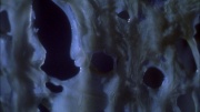 Filename=extant_StarTrek_ENT_1x22-VoxSola_1702.jpg
Filesize=257KiB
Dimensions=1920x1080
Date added=May 30, 2020 extant_StarTrek_ENT_1x22-VoxSola_1702.jpg