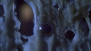 Filename=extant_StarTrek_ENT_1x22-VoxSola_1703.jpg
Filesize=266KiB
Dimensions=1920x1080
Date added=May 30, 2020 extant_StarTrek_ENT_1x22-VoxSola_1703.jpg