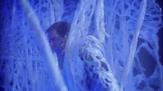 Filename=extant_StarTrek_ENT_1x22-VoxSola_1738.jpg
Filesize=245KiB
Dimensions=1920x1080
Date added=May 30, 2020 extant_StarTrek_ENT_1x22-VoxSola_1738.jpg