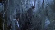 Filename=extant_StarTrek_ENT_1x22-VoxSola_1777.jpg
Filesize=237KiB
Dimensions=1920x1080
Date added=May 30, 2020 extant_StarTrek_ENT_1x22-VoxSola_1777.jpg