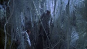 Filename=extant_StarTrek_ENT_1x22-VoxSola_1778.jpg
Filesize=236KiB
Dimensions=1920x1080
Date added=May 30, 2020 extant_StarTrek_ENT_1x22-VoxSola_1778.jpg