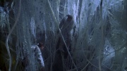 Filename=extant_StarTrek_ENT_1x22-VoxSola_1779.jpg
Filesize=235KiB
Dimensions=1920x1080
Date added=May 30, 2020 extant_StarTrek_ENT_1x22-VoxSola_1779.jpg