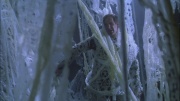 Filename=extant_StarTrek_ENT_1x22-VoxSola_2055.jpg
Filesize=227KiB
Dimensions=1920x1080
Date added=May 30, 2020 extant_StarTrek_ENT_1x22-VoxSola_2055.jpg