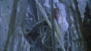 Filename=extant_StarTrek_ENT_1x22-VoxSola_2057.jpg
Filesize=224KiB
Dimensions=1920x1080
Date added=May 30, 2020 extant_StarTrek_ENT_1x22-VoxSola_2057.jpg