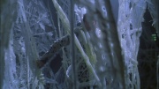 Filename=extant_StarTrek_ENT_1x22-VoxSola_2059.jpg
Filesize=223KiB
Dimensions=1920x1080
Date added=May 30, 2020 extant_StarTrek_ENT_1x22-VoxSola_2059.jpg