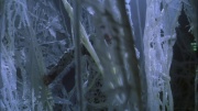 Filename=extant_StarTrek_ENT_1x22-VoxSola_2060.jpg
Filesize=227KiB
Dimensions=1920x1080
Date added=May 30, 2020 extant_StarTrek_ENT_1x22-VoxSola_2060.jpg