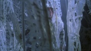 Filename=extant_StarTrek_ENT_1x22-VoxSola_2062.jpg
Filesize=228KiB
Dimensions=1920x1080
Date added=May 30, 2020 extant_StarTrek_ENT_1x22-VoxSola_2062.jpg