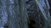 Filename=extant_StarTrek_ENT_1x22-VoxSola_2067.jpg
Filesize=198KiB
Dimensions=1920x1080
Date added=May 30, 2020 extant_StarTrek_ENT_1x22-VoxSola_2067.jpg