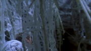 Filename=extant_StarTrek_ENT_1x22-VoxSola_2068.jpg
Filesize=173KiB
Dimensions=1920x1080
Date added=May 30, 2020 extant_StarTrek_ENT_1x22-VoxSola_2068.jpg