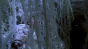 Filename=extant_StarTrek_ENT_1x22-VoxSola_2070.jpg
Filesize=229KiB
Dimensions=1920x1080
Date added=May 30, 2020 extant_StarTrek_ENT_1x22-VoxSola_2070.jpg